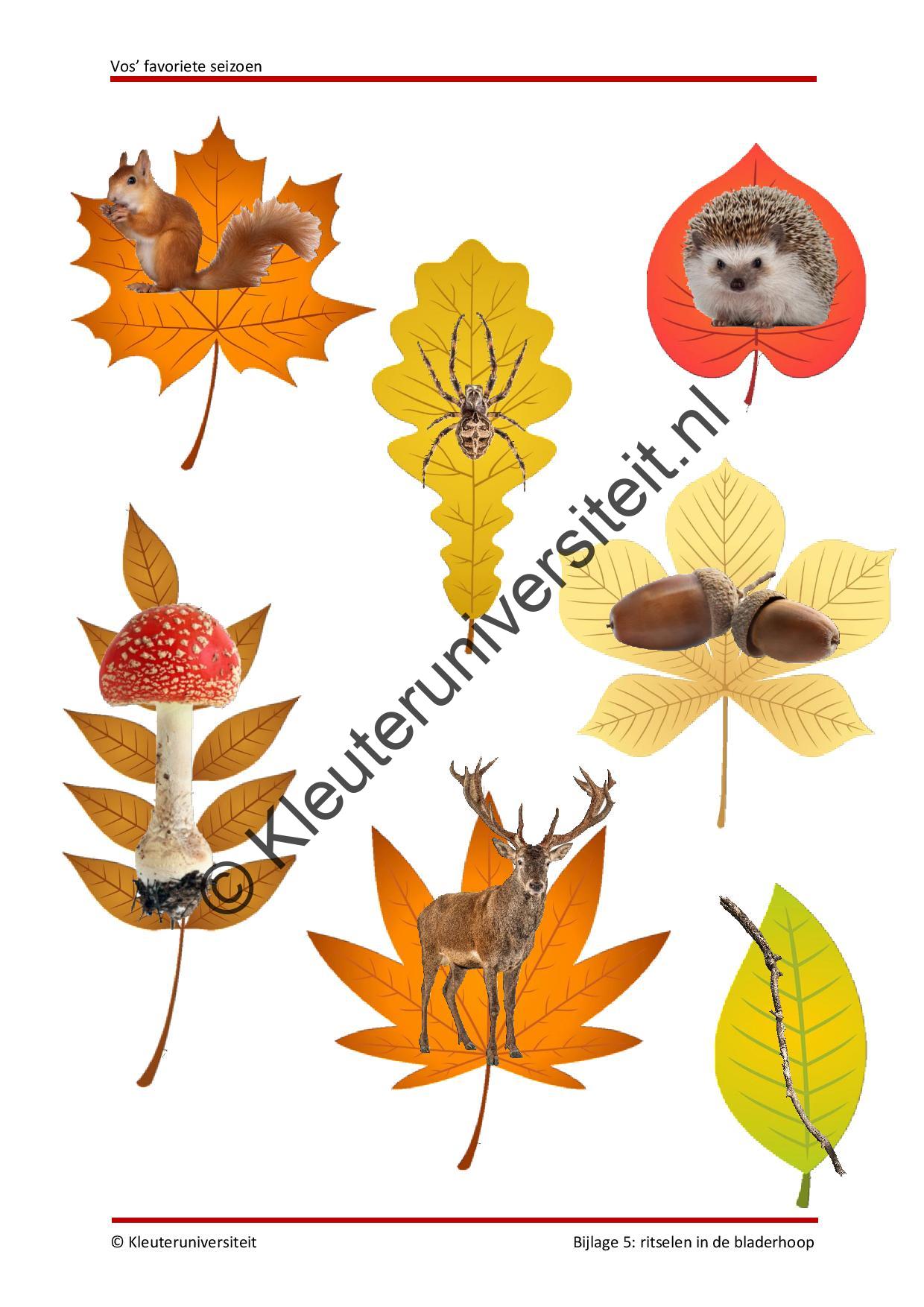 Vos' favoriete seizoen - Afbeelding 8