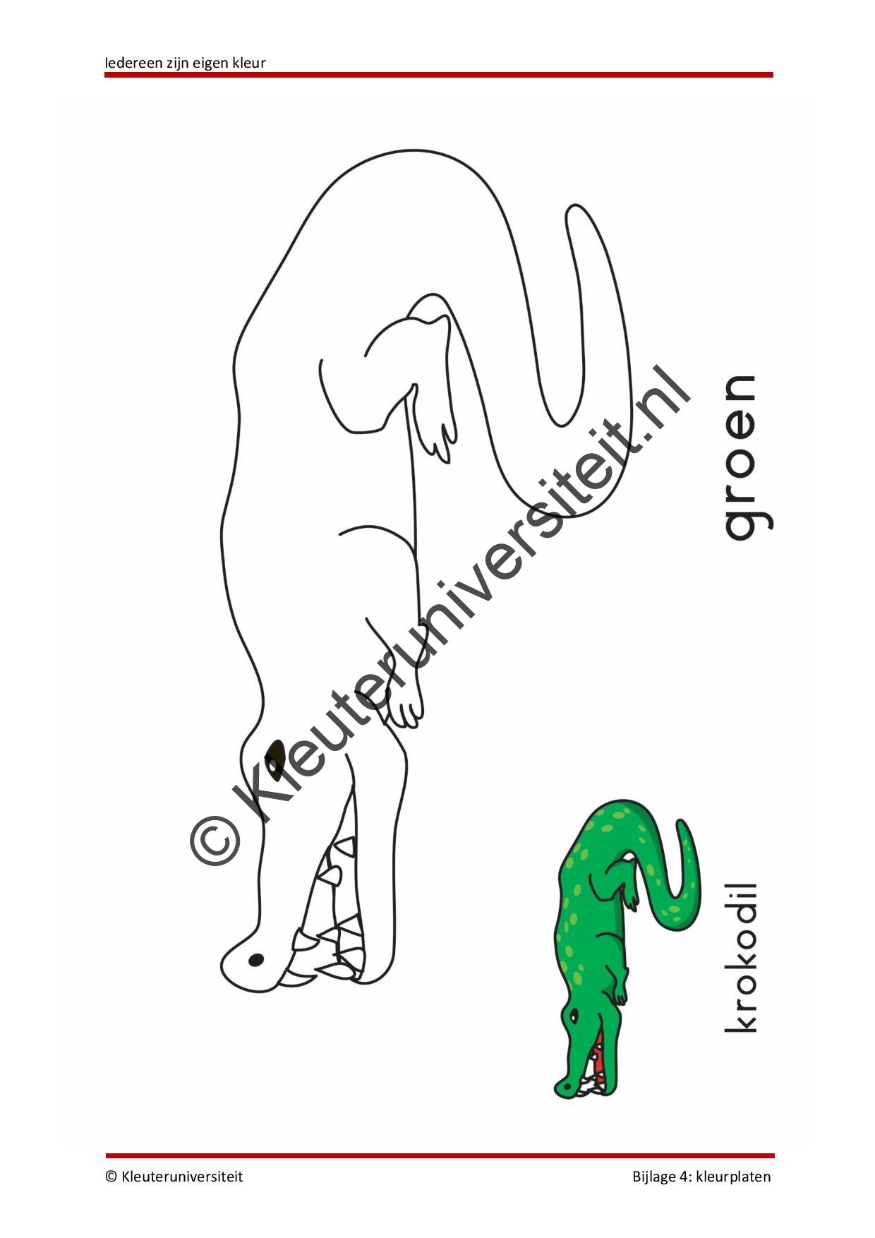 Iedereen zijn eigen kleur - Afbeelding 8