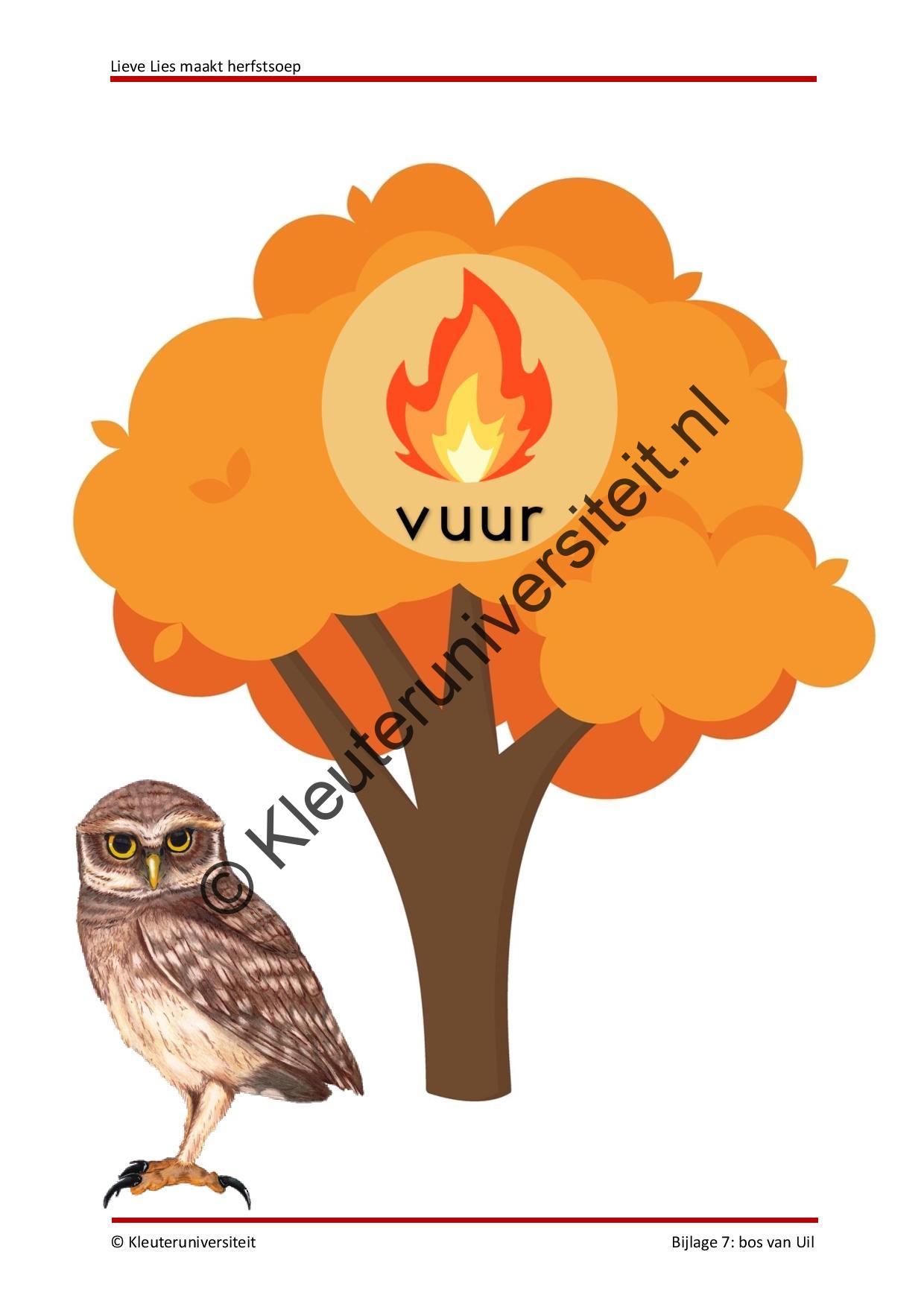 Lieve Lies maakt herfstsoep - Afbeelding 11