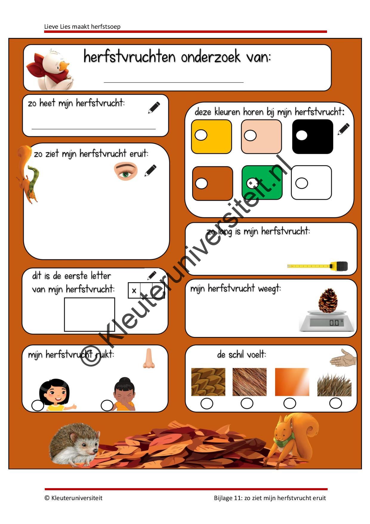 Lieve Lies maakt herfstsoep - Afbeelding 12