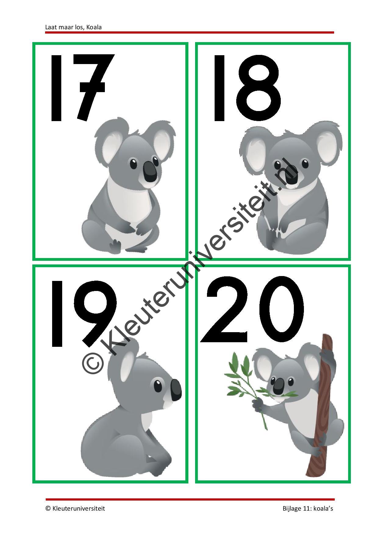 Laat maar los Koala - Afbeelding 10
