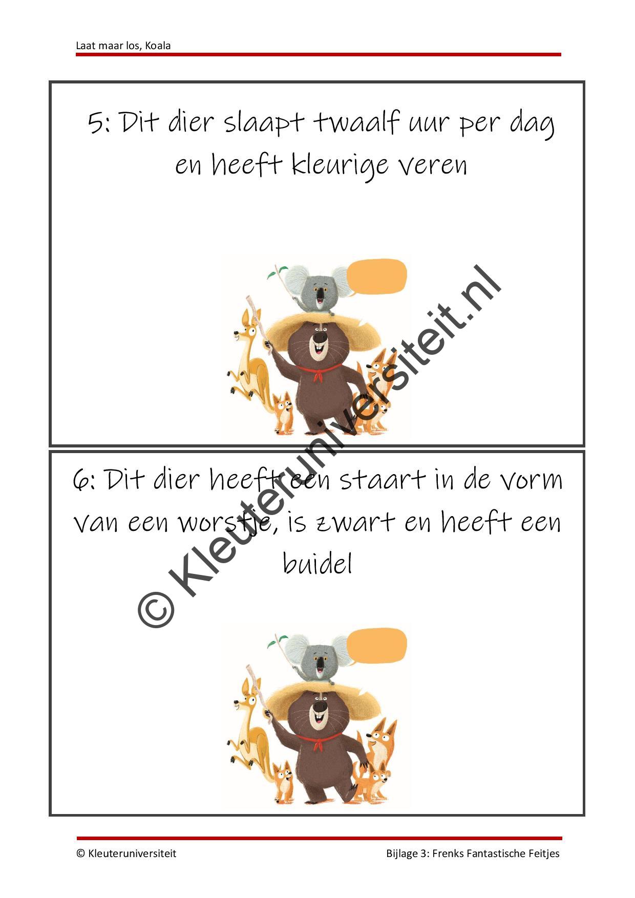 Laat maar los Koala - Afbeelding 8