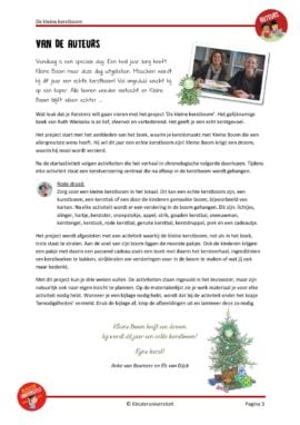Alternative view of De kleine kerstboom