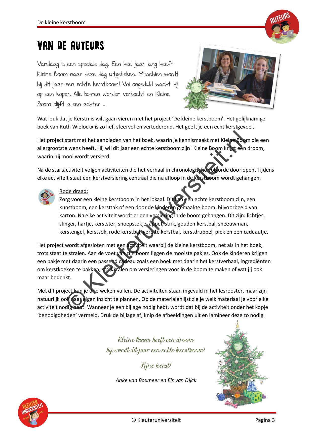 De kleine kerstboom - Afbeelding 2
