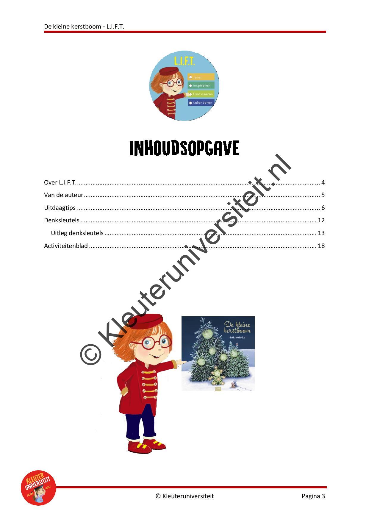 De kleine kerstboom - LIFT - Afbeelding 2