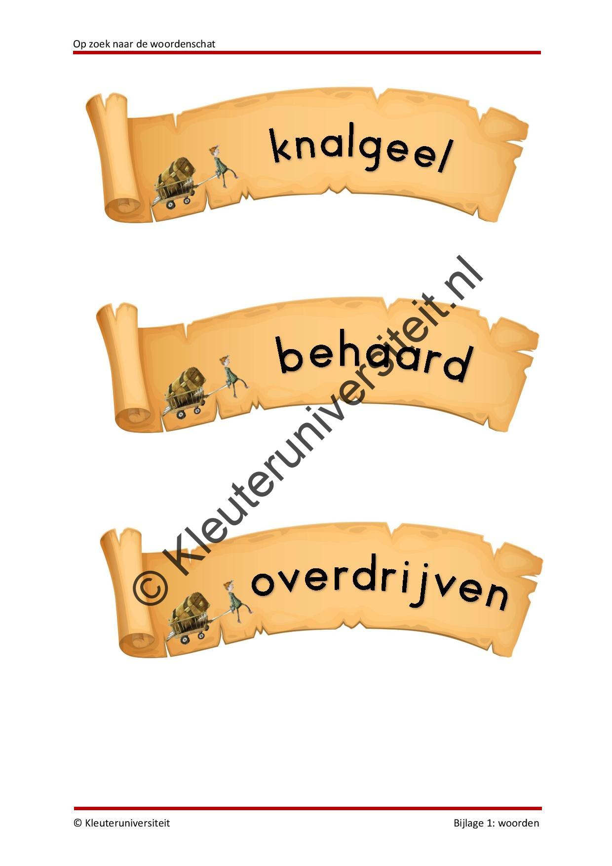 Op zoek naar de woordenschat - Afbeelding 6