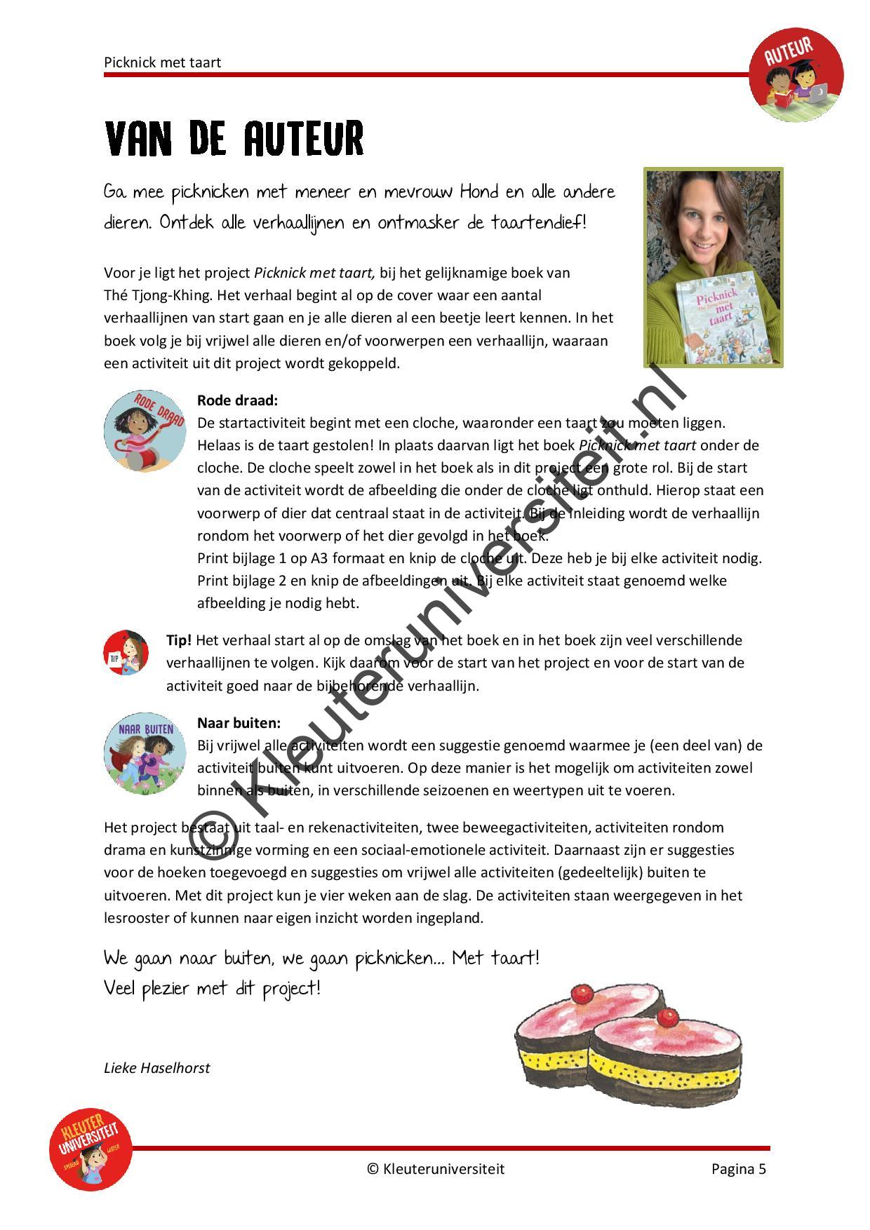 Picknick met taart - Afbeelding 4