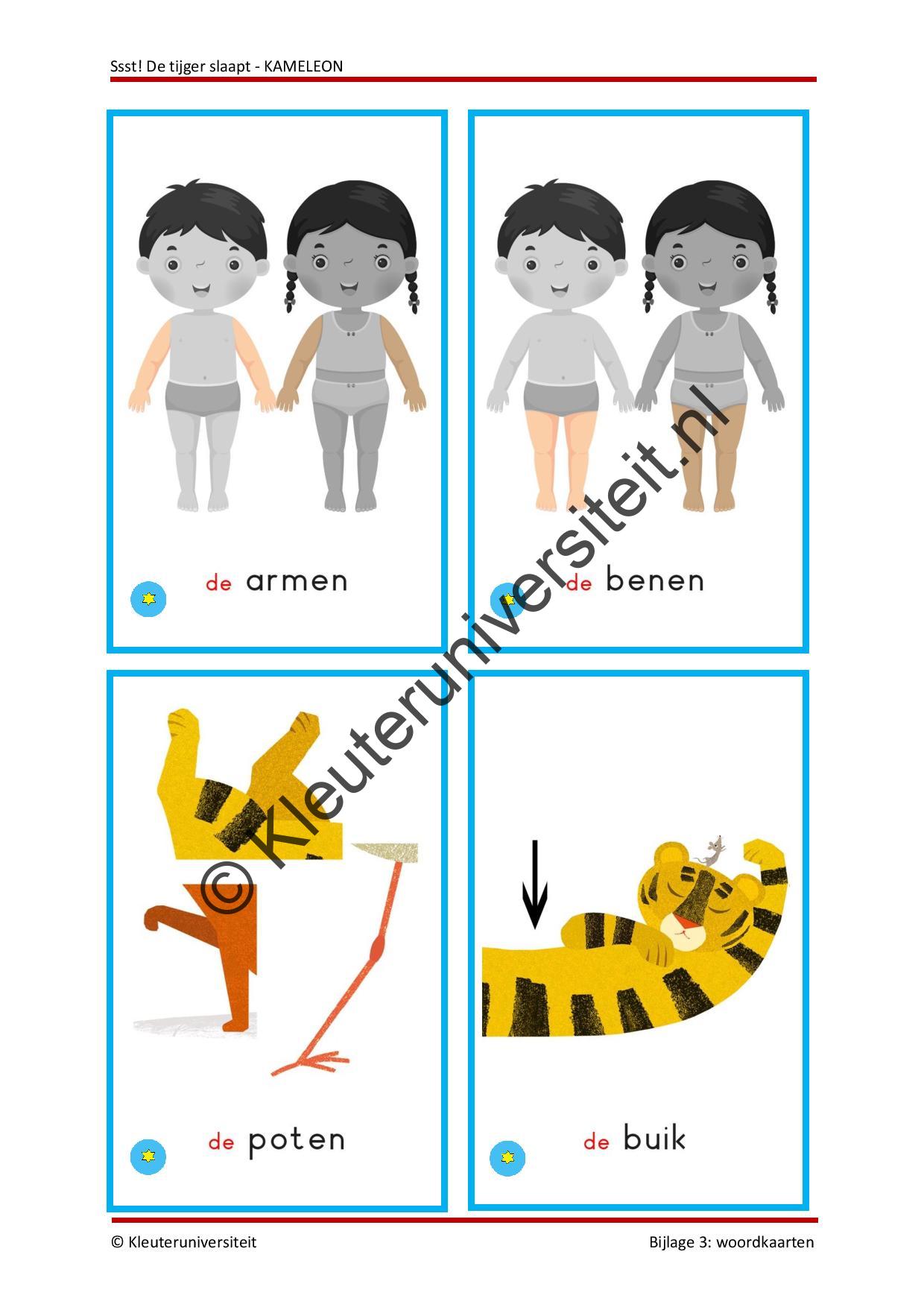 Ssst de tijger slaapt - KAMELEON - Afbeelding 6