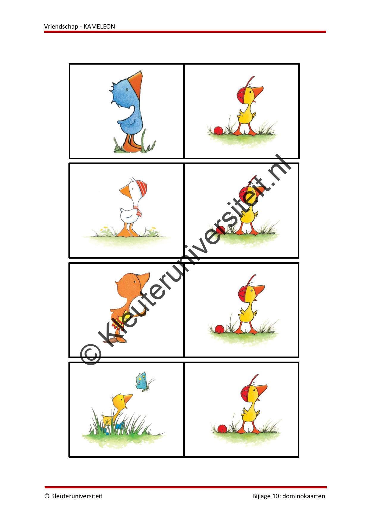 Vriendschap - KAMELEON - Afbeelding 8