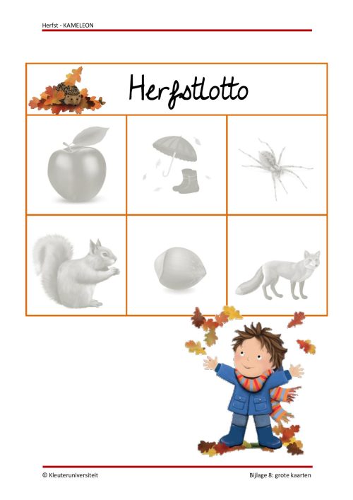Herfst - KAMELEON - Afbeelding 6