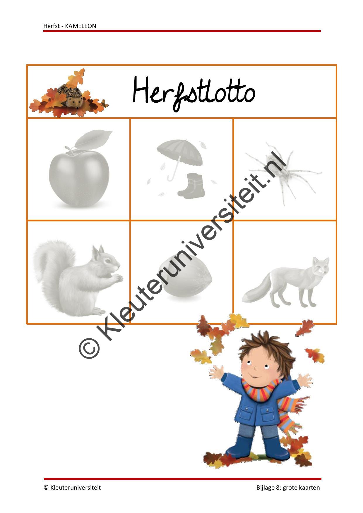 Herfst - KAMELEON - Afbeelding 6