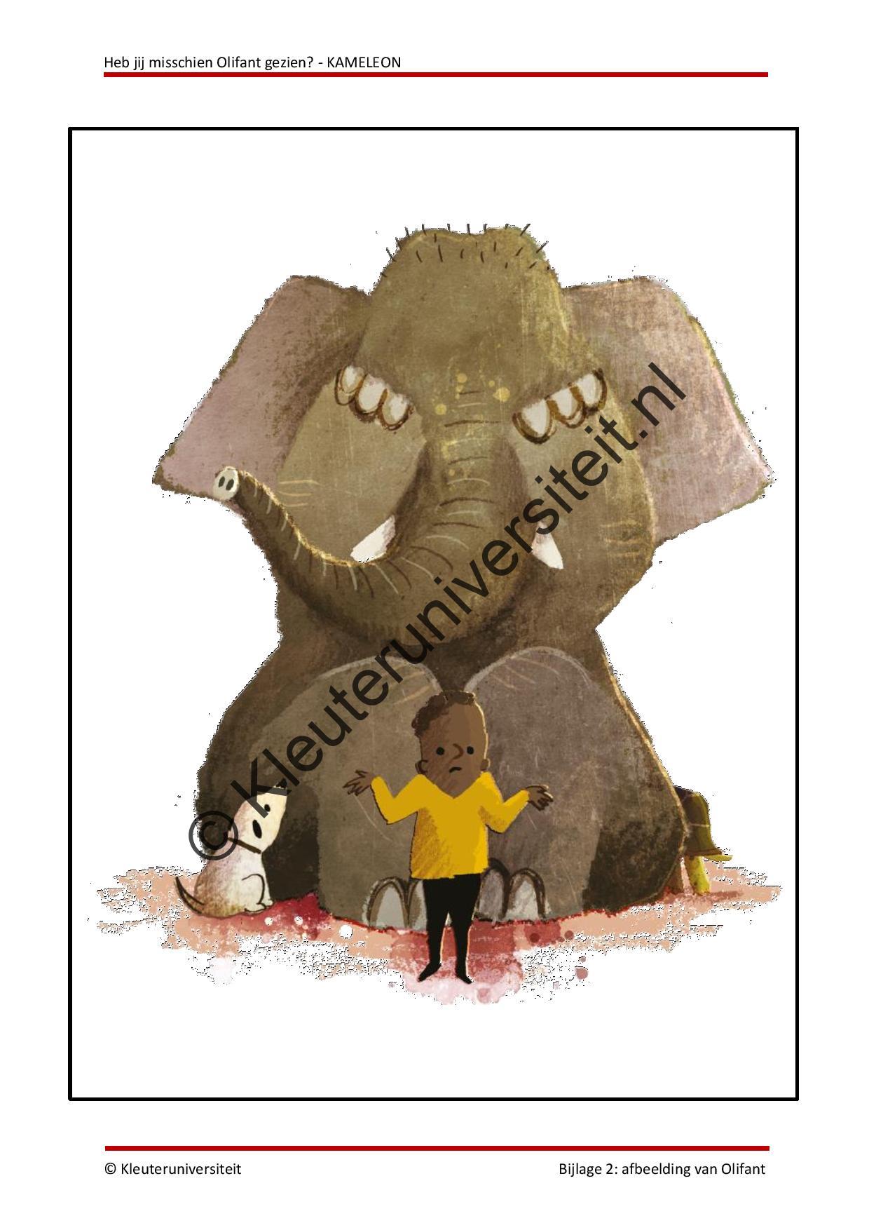 Heb jij misschien Olifant gezien - KAMELEON - Afbeelding 5