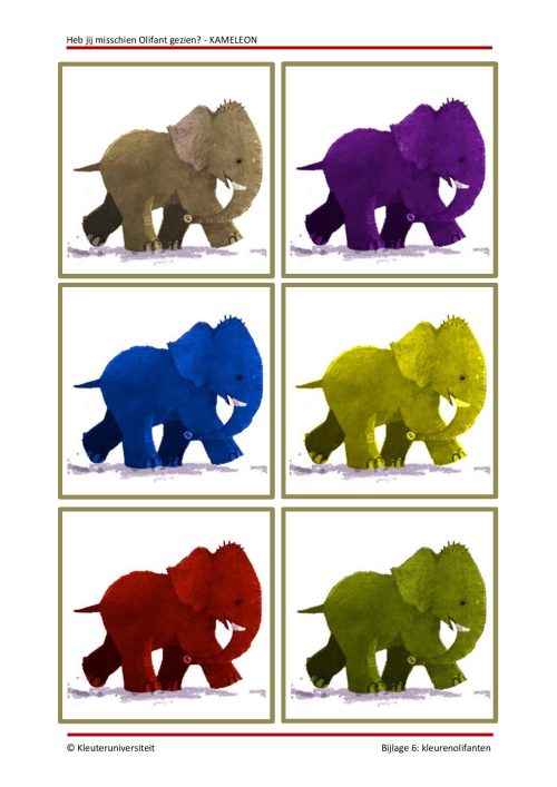 Heb jij misschien Olifant gezien - KAMELEON - Afbeelding 6