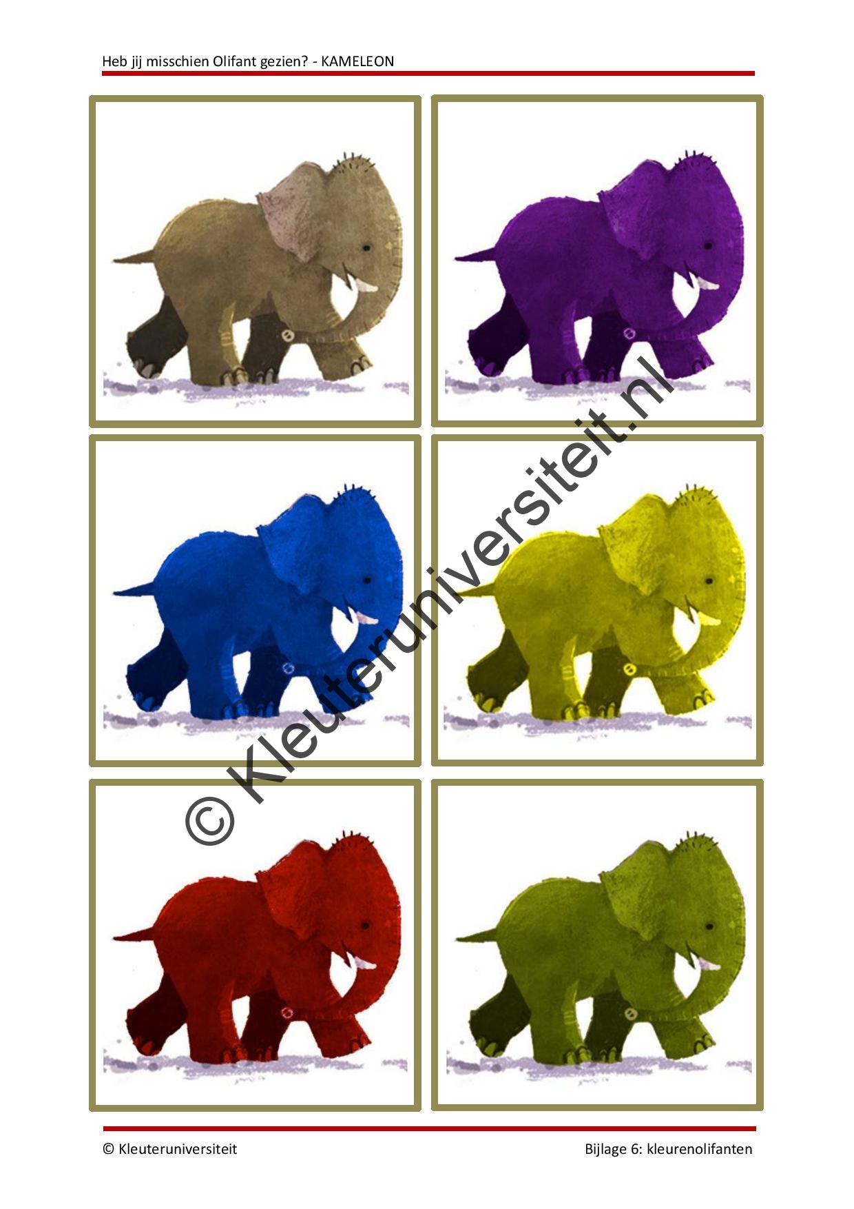 Heb jij misschien Olifant gezien - KAMELEON - Afbeelding 6