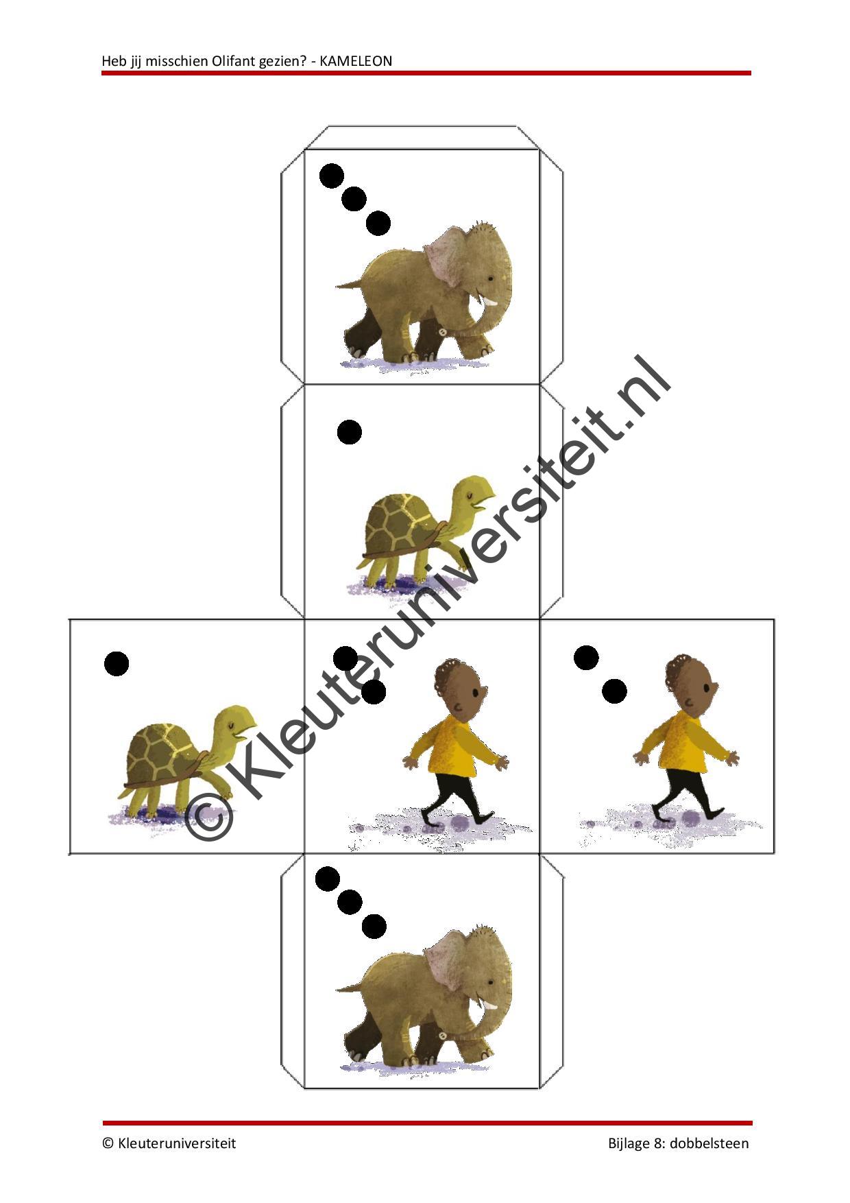 Heb jij misschien Olifant gezien - KAMELEON - Afbeelding 7