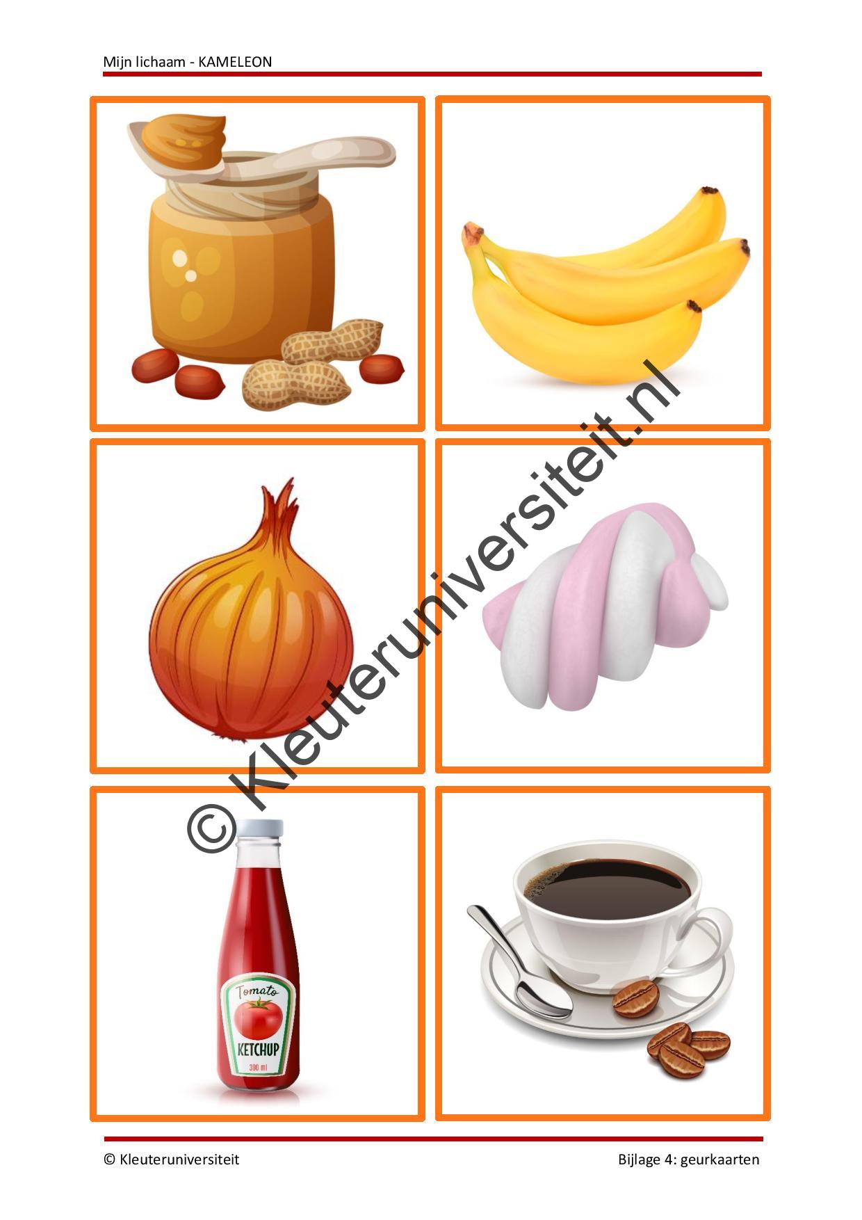 Mijn lichaam - KAMELEON - Afbeelding 7