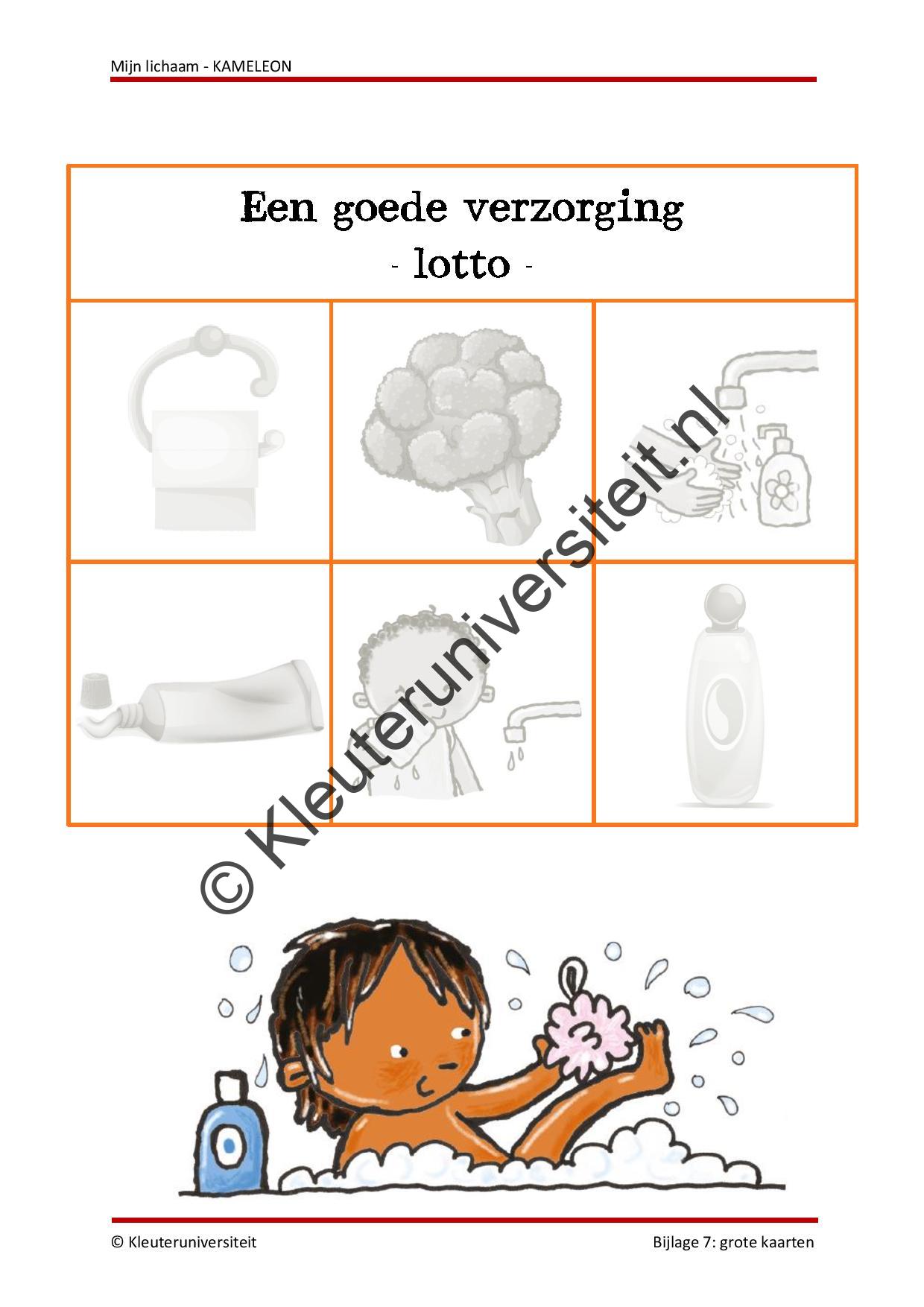 Mijn lichaam - KAMELEON - Afbeelding 8