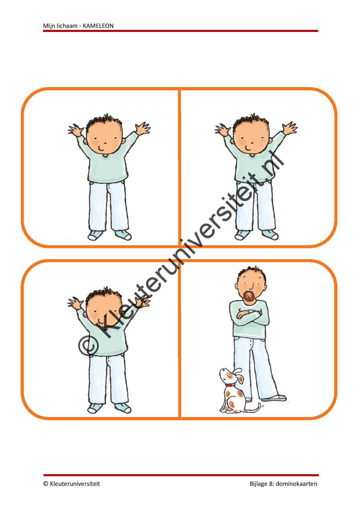 Mijn lichaam - KAMELEON - Afbeelding 9