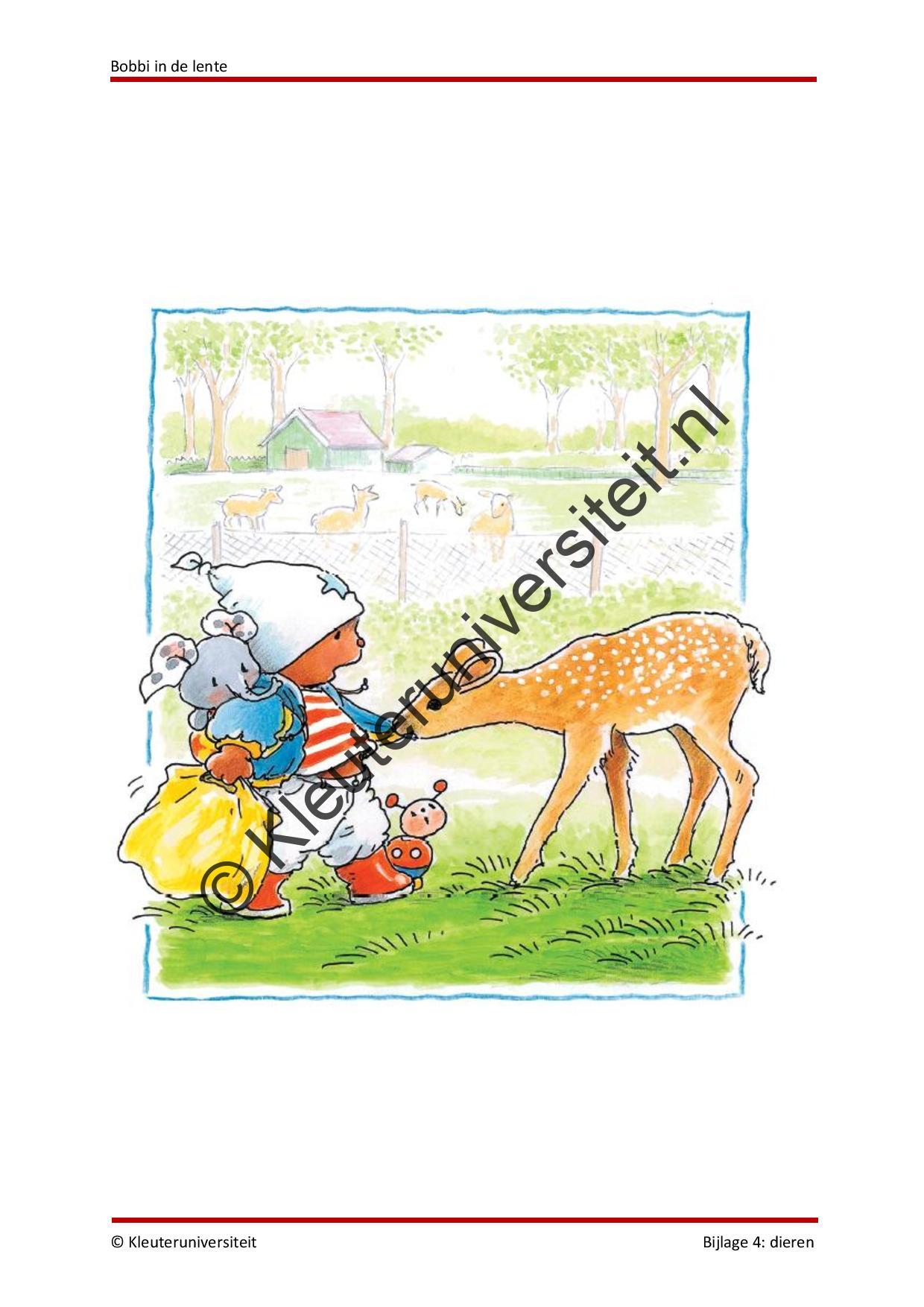 Bobbi in de lente - KAMELEON - Afbeelding 6