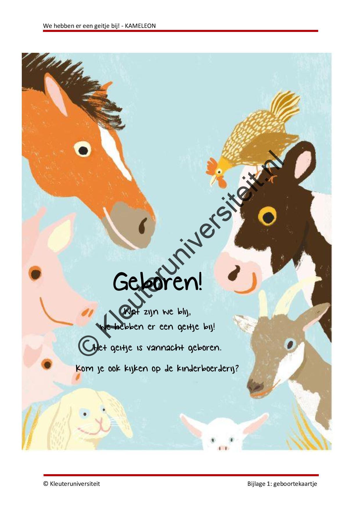 We hebben er een geitje bij - KAMELEON - Afbeelding 5
