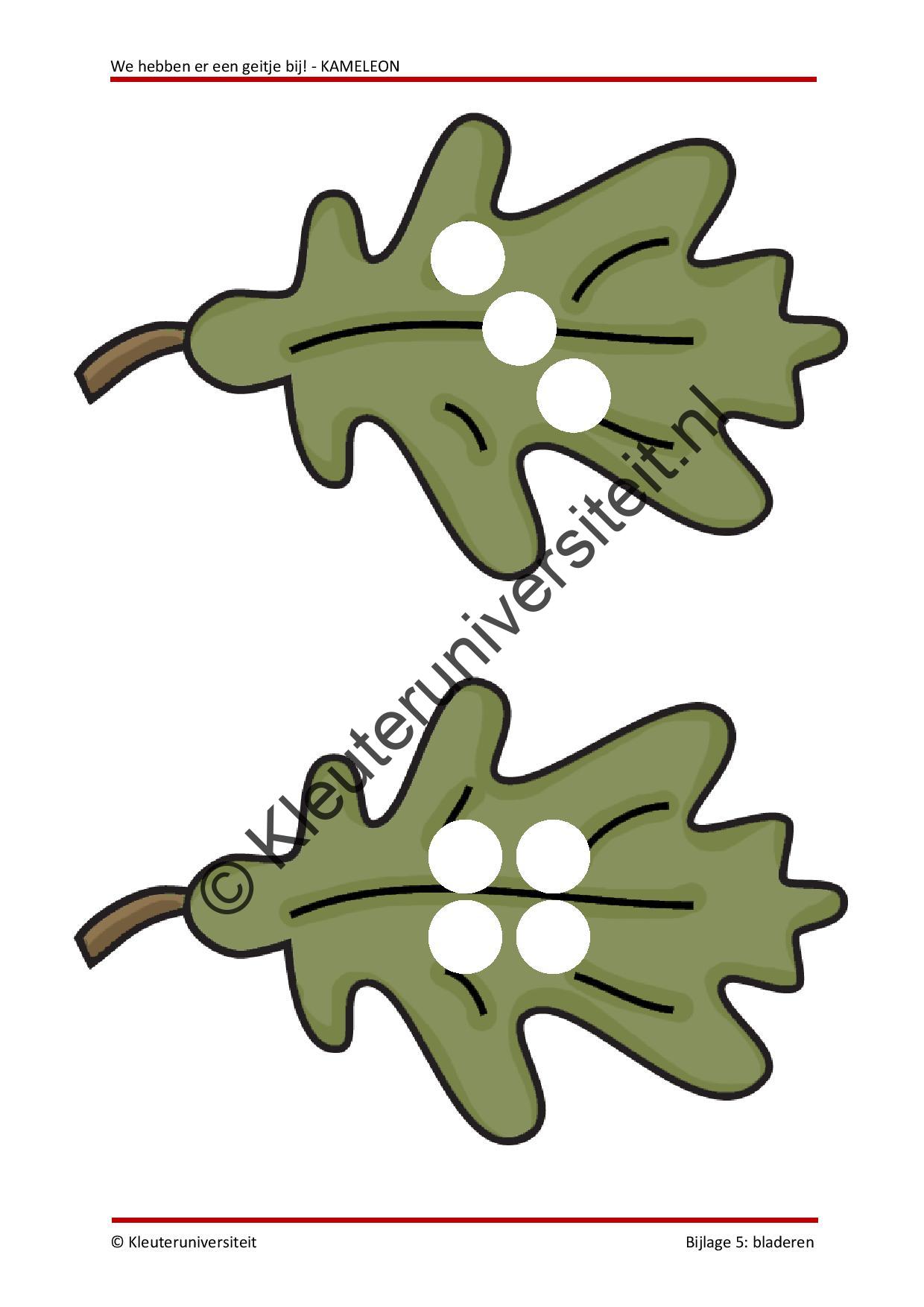 We hebben er een geitje bij - KAMELEON - Afbeelding 7