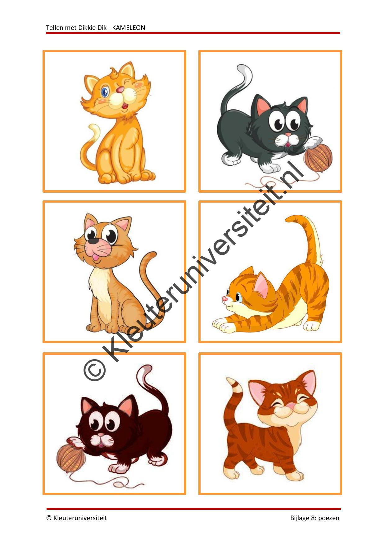 Tellen met Dikkie Dik - KAMELEON - Afbeelding 7