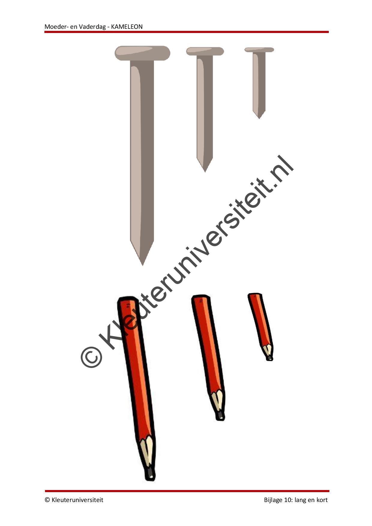 Moederdag en Vaderdag - KAMELEON - Afbeelding 8