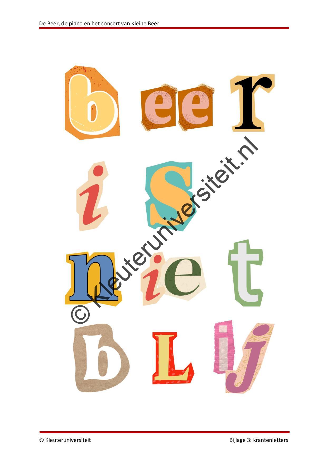 De Beer de piano en het concert van Kleine Beer - Afbeelding 9