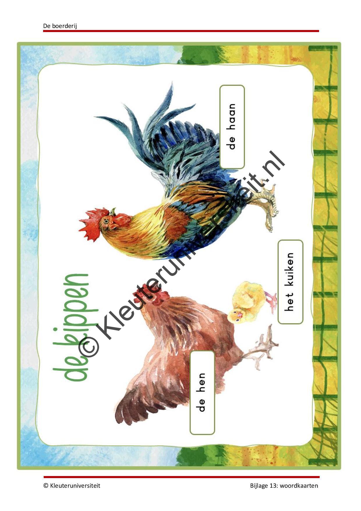 De boerderij - Afbeelding 10