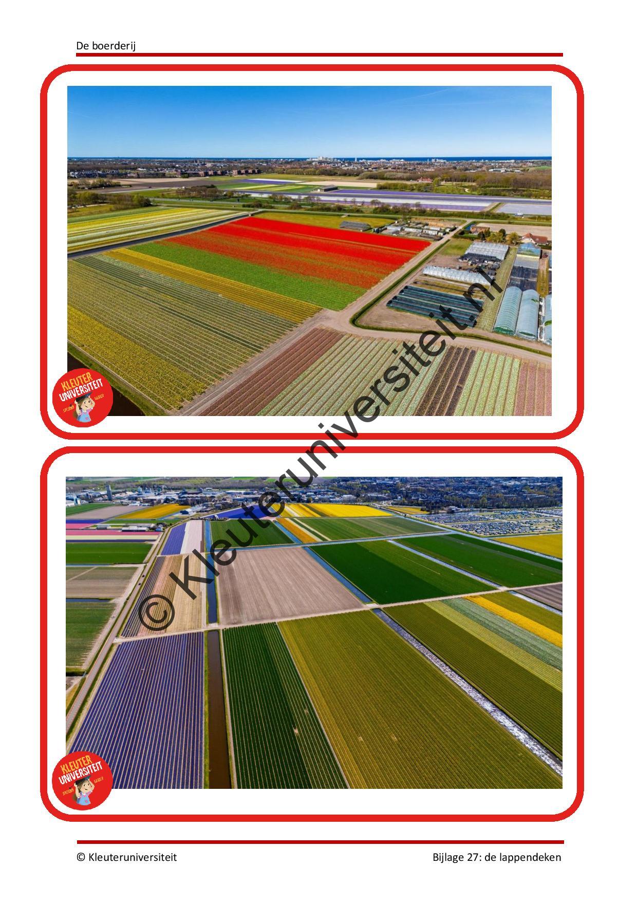 De boerderij - Afbeelding 12