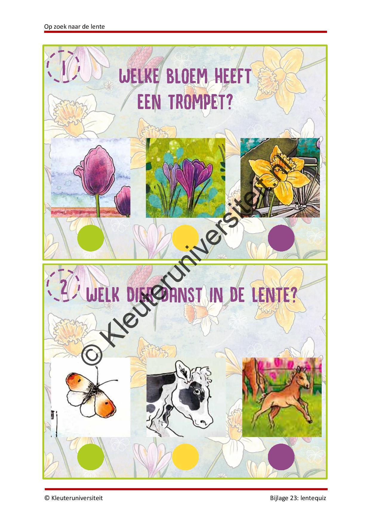 Op zoek naar de lente - Afbeelding 13