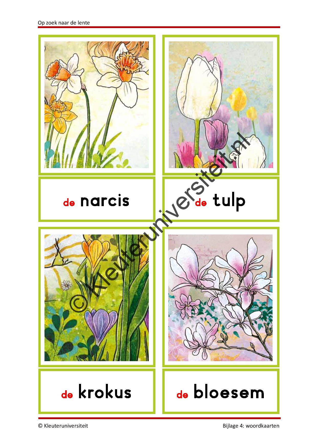 Op zoek naar de lente - Afbeelding 9