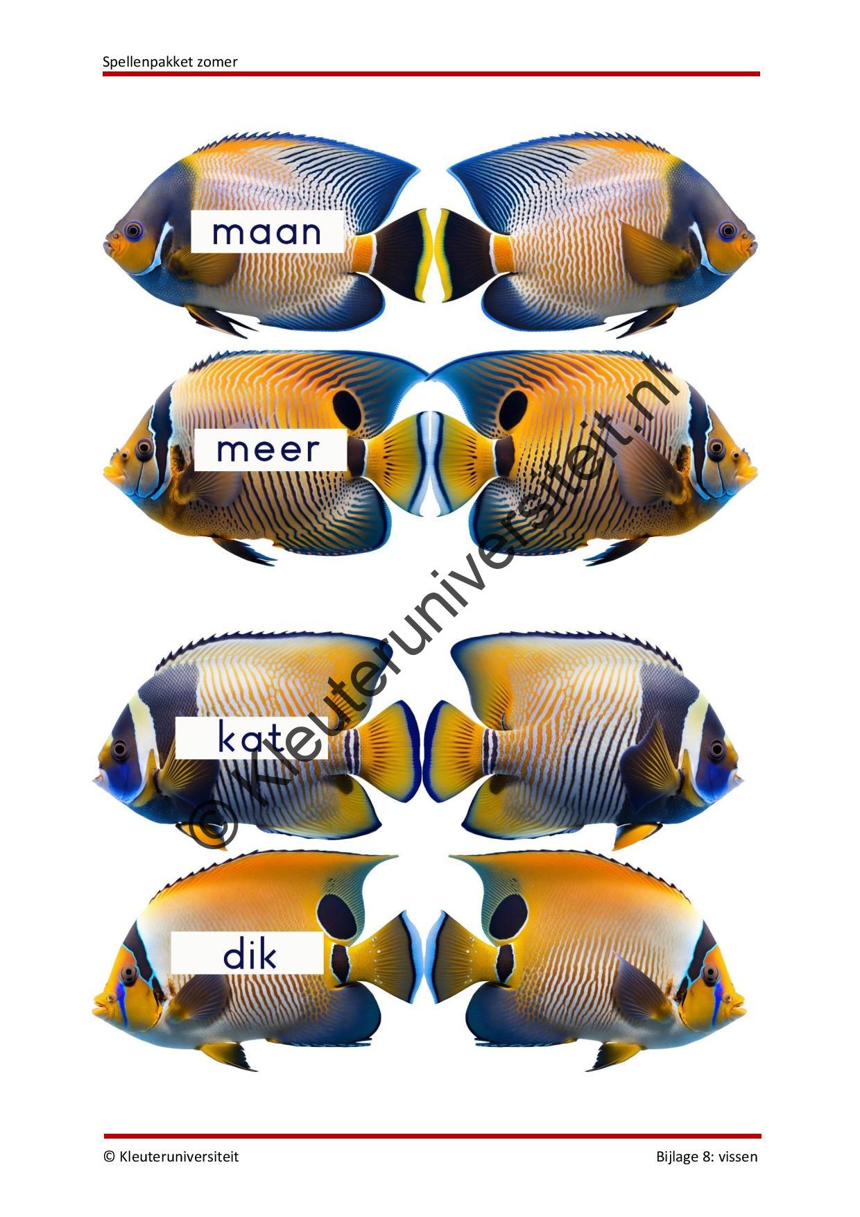 Spellenpakket zomer - Afbeelding 8