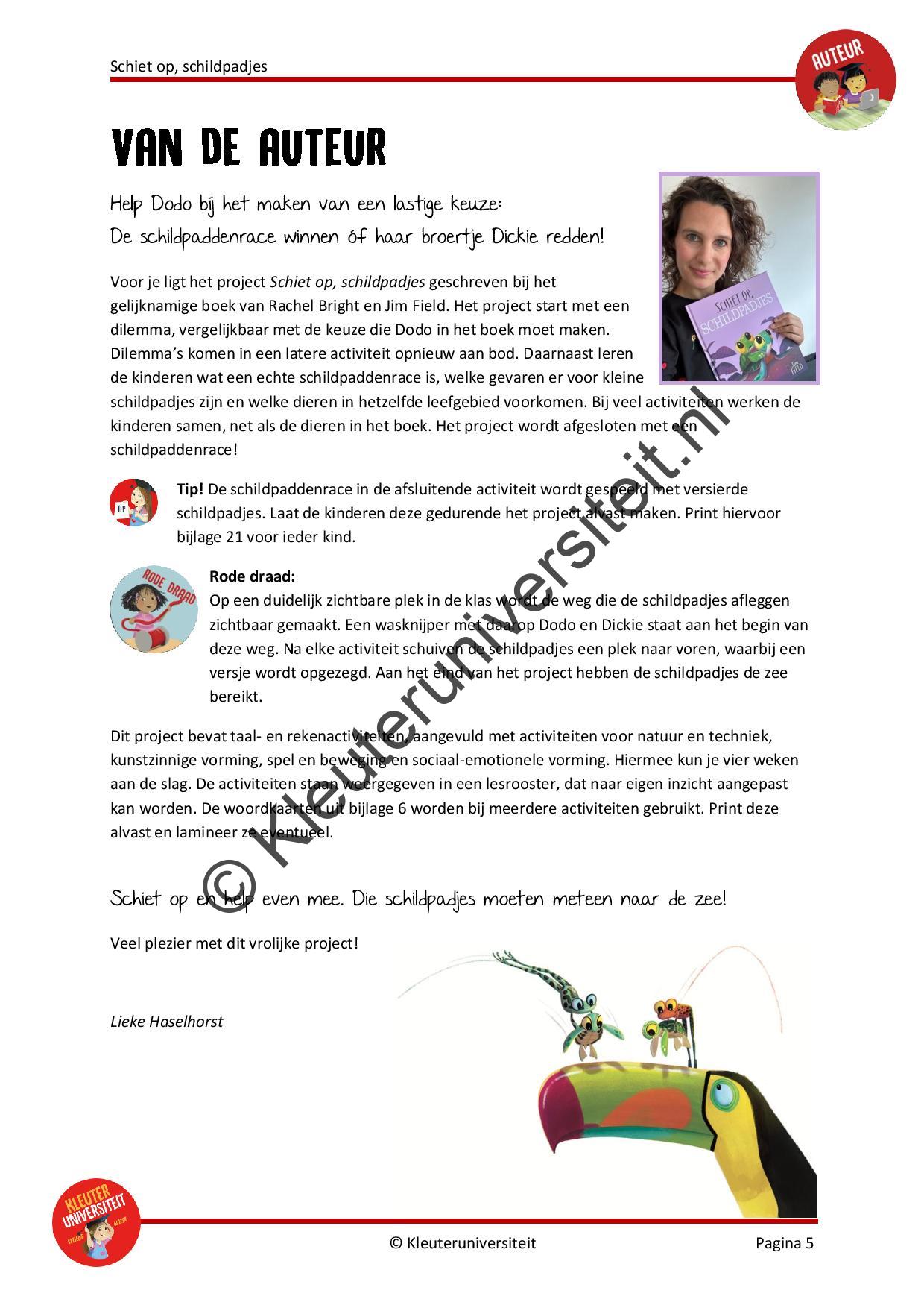 Schiet op schildpadjes - Afbeelding 2