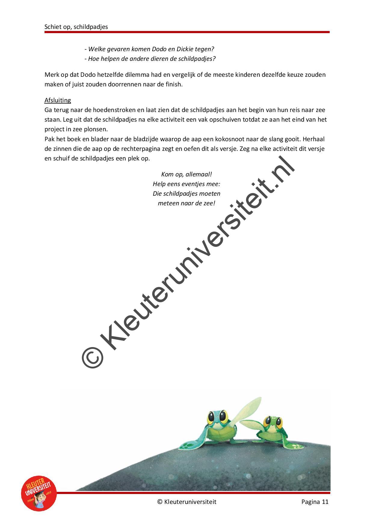 Schiet op schildpadjes - Afbeelding 7