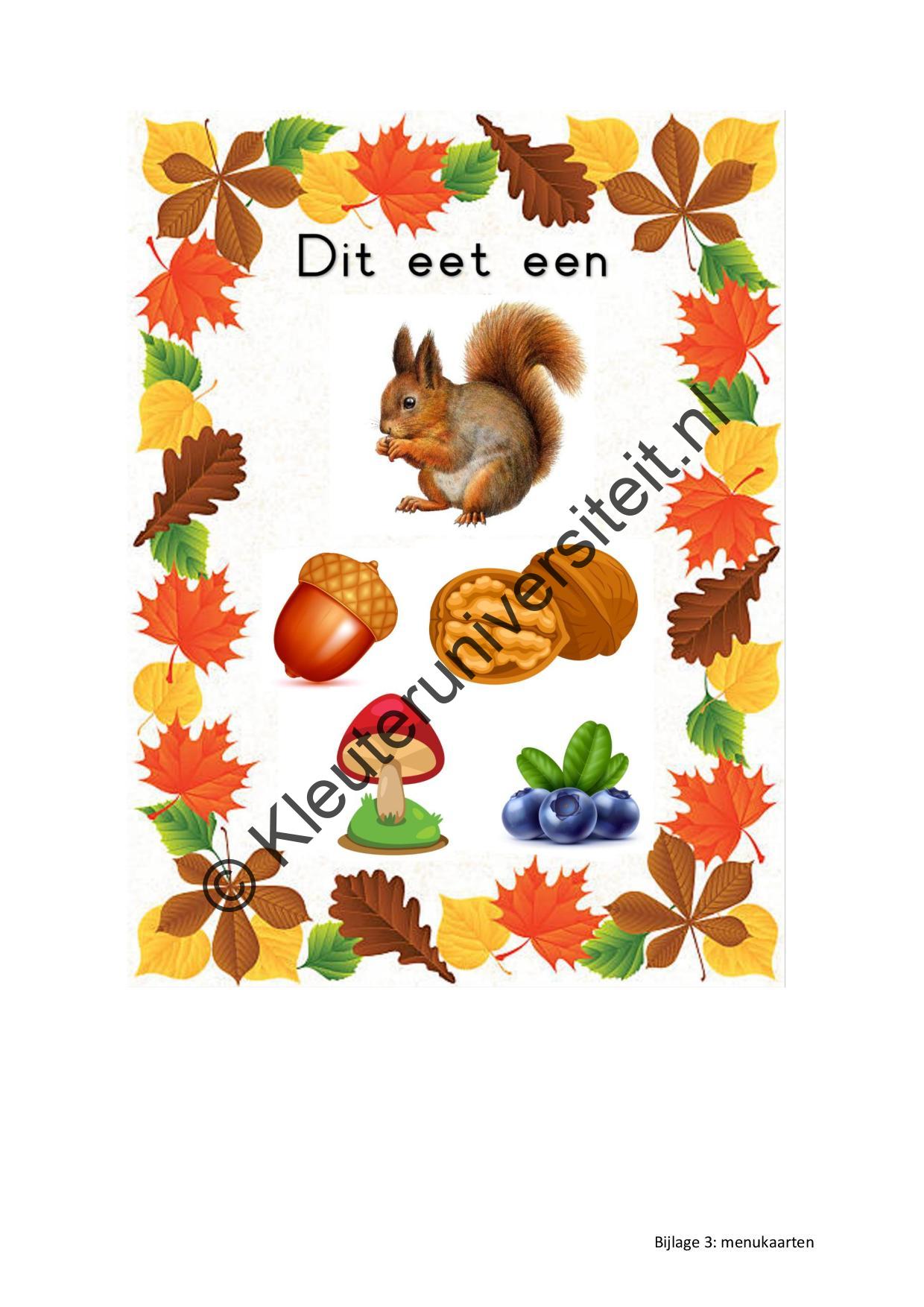 Lieve Lies maakt herfstsoep - SPELWELL - Afbeelding 9